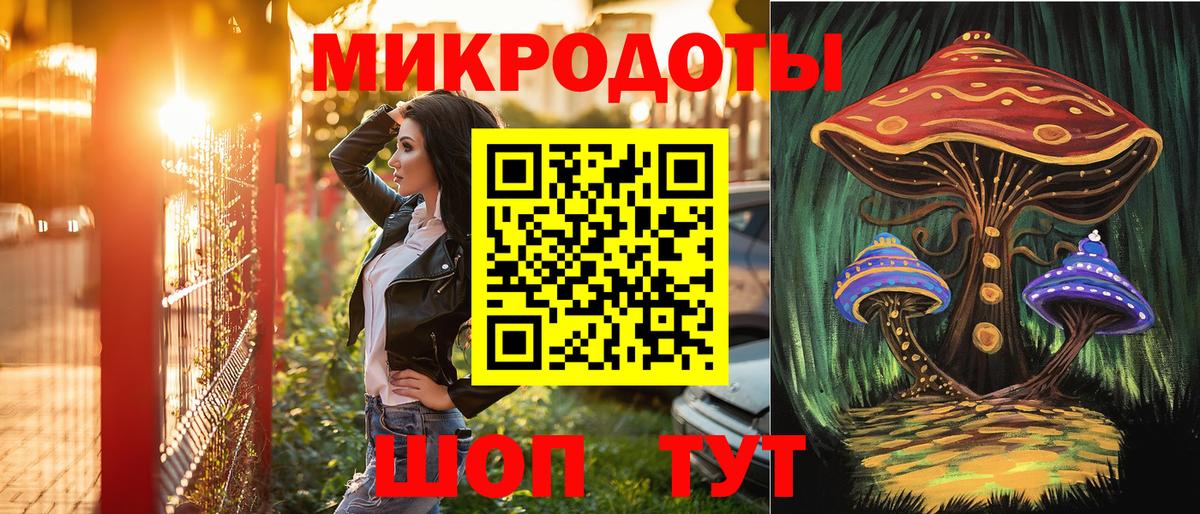 Галлюциногенные грибы Psilocybine cubensis Волхов